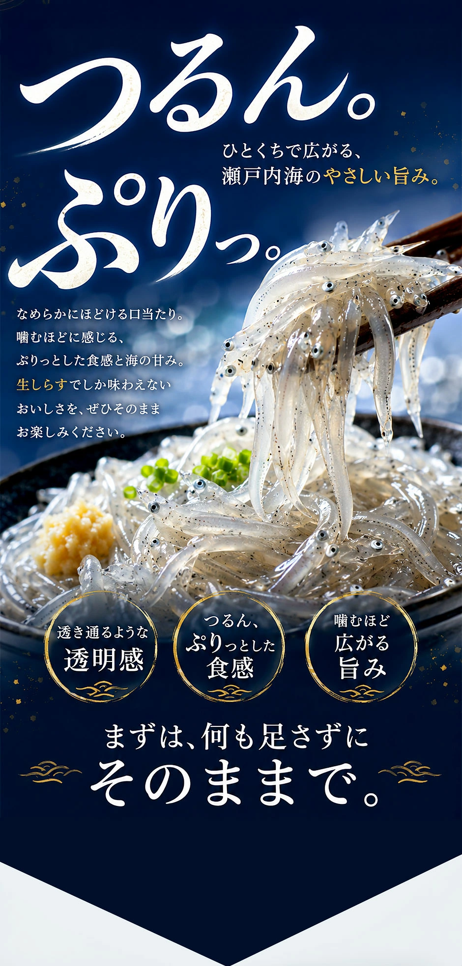0730162024_6a6afb388245d0.15478879.webp